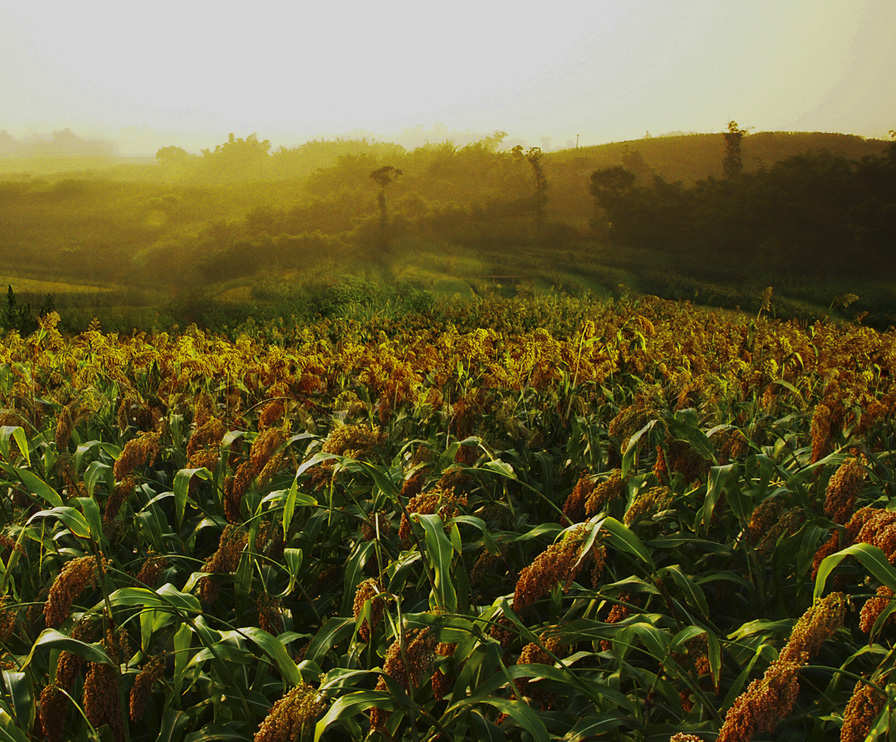 权门国际官网-钻营健全,你我一路成长