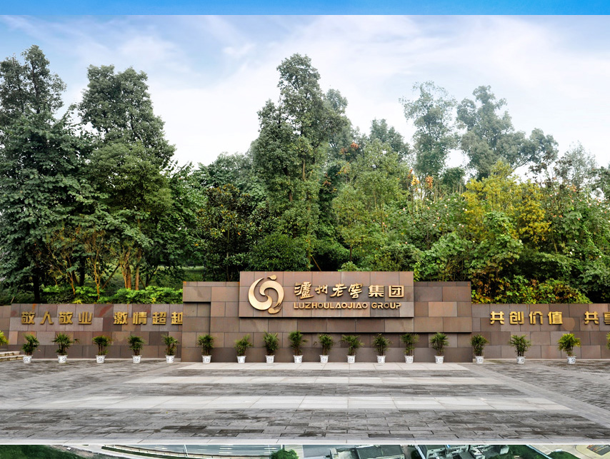 权门国际官网-钻营健全,你我一路成长